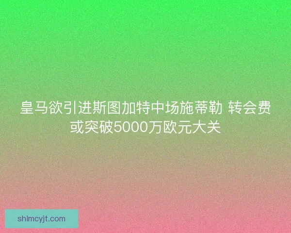 皇马欲引进斯图加特中场施蒂勒 转会费或突破5000万欧元大关