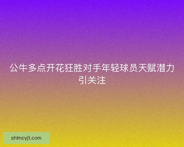 公牛多点开花狂胜对手年轻球员天赋潜力引关注